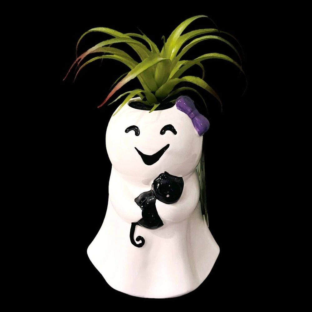 Halloween Girl Mom Black Cat Planter Pot Faux Succulent Plant